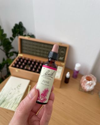 Proč se objednat na terapii Bachovými esencemi? 🤔 • Bachovy esence harmonizují psychiku a pomohou vám tak dosáhnout emoční...